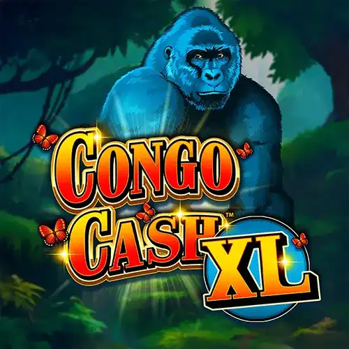 Congo Cash XL