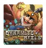 DynamiteReels