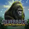 Silverback: Multiplier Mountain