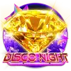 DiscoNight