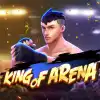 King Of Arena