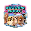 Doggone Lucky