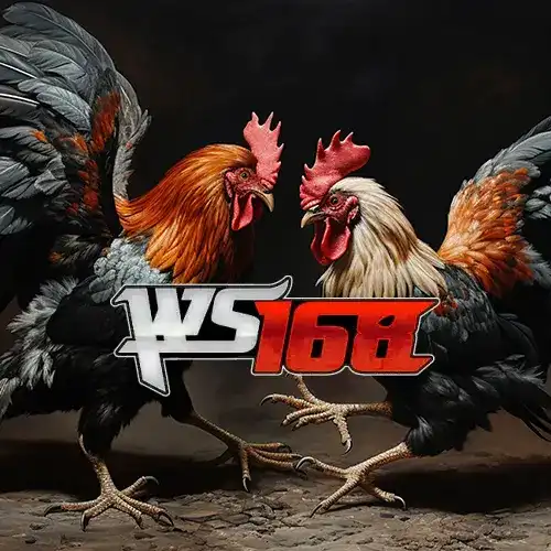 WS 168 CockFighting